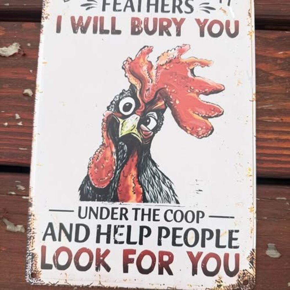 Funny Chicken Metal Sign